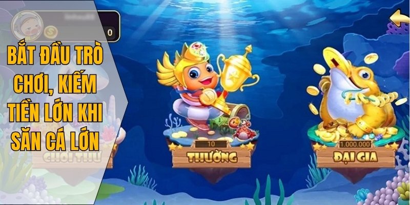 Bắt đầu trò chơi, kiếm tiền lớn khi săn cá lớn