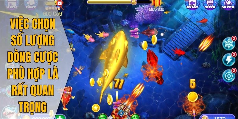 Việc chọn số lượng dòng cược phù hợp là rất quan trọng