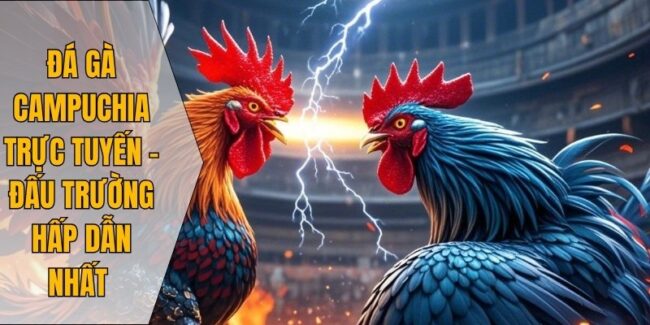 Đá gà Campuchia