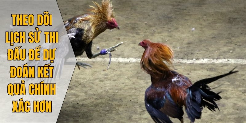 Theo dõi lịch sử thi đấu để dự đoán kết quả chính xác hơn
