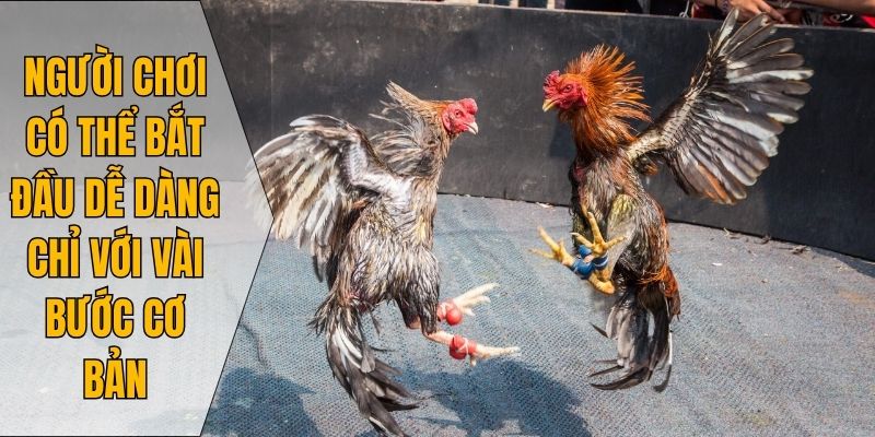 Người chơi có thể bắt đầu dễ dàng chỉ với vài bước cơ bản
