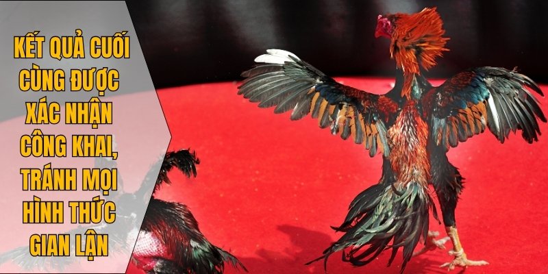 Kết quả cuối cùng được xác nhận công khai, tránh mọi hình thức gian lận