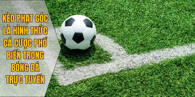 Kèo phạt góc là hình thức cá cược phổ biến trong bóng đá trực tuyến