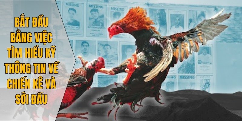 Kèo chấp cân sức giúp cân bằng cơ hội giữa hai chiến kê ngang tài